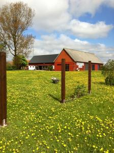 Tygebo Gård - B&B, Hanksville Farm