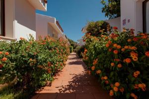 Resort Fior di Sardegna img33
