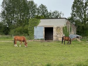 B&B / Chambres d'hotes L'Autre Riviere - Chambres d'hotes : photos des chambres