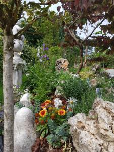 Nel giardino di Dafne