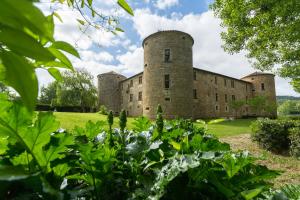 Hotels Chateau Des Ducs De Joyeuse : photos des chambres