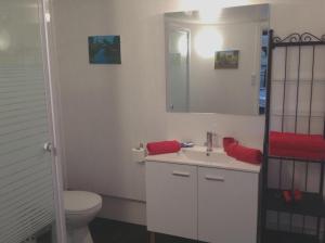 Maisons de vacances Maison charmante a Souvigny-en-Sologne avec jardin : photos des chambres