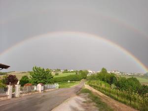 Vitedipinte 2 country house monolocale