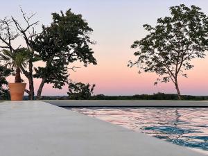 Maisons de vacances Domaine de Cazal - Gite 4 pers avec piscine au coeur de 26 hectares de nature preservee : photos des chambres