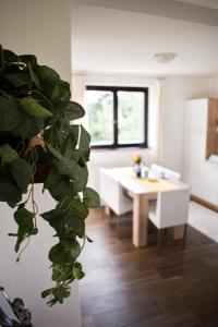 House Narta - Rastoke 