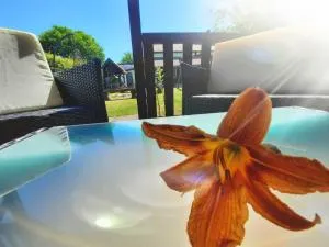 Pokoje Gościnne Ewa Nowicka - 新卡尔奇马