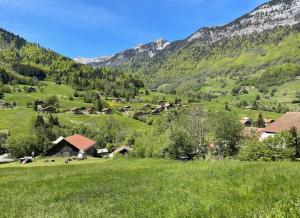 Appartements Le chalet des reves - La Roche Blanche : photos des chambres