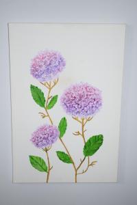 Casa das hortências