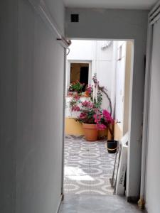 Brisas del Parque II