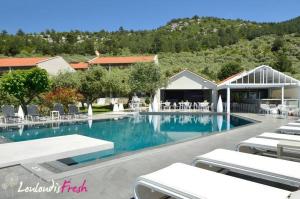 Louloudis Fresh-Adults Only Thassos Greece