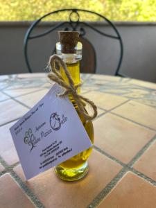 Agriturismo Podere Pizzicagallo