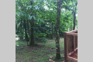 Adorable Cabane dans un espace boisé