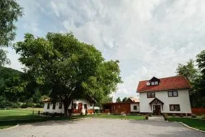 Vén Diófa - Sub Cetate