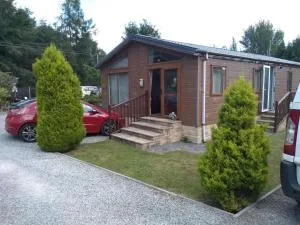 Squirrel Lodge - 克利尔威尔