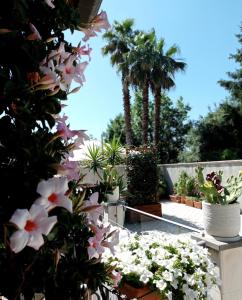 B&B Casa Althea