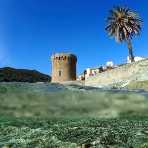 Maisons de vacances Logement de grand standing entre Mer et Montagne : Maison 1 Chambre