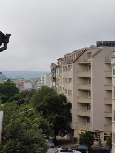 Apartment Wild Walnut