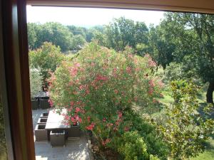 Hotel Le Mas de Rivet photo 6