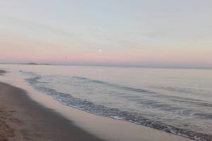 Appartements L'appART'en ciel. Climatise entre mer et canal : photos des chambres