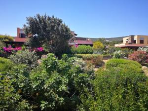 Villa La Pelosa Stintino img13