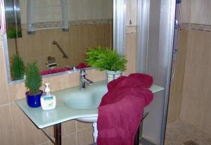 Aptos Monasterio de San Antonio 6