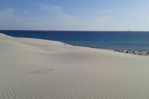 Villa su due livelli super accessoriata img34