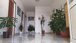 Apartman Nina 
