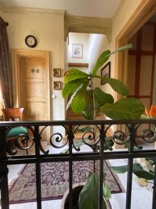 Parkview villa apartment