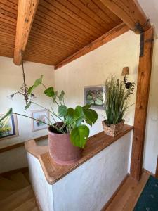 Parkview villa apartment