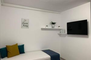 Cozy Studio Apartament Zalau