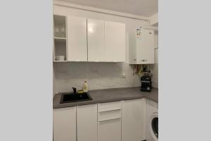 Cozy Studio Apartament Zalau