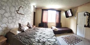 Hotel Casa del Arbol