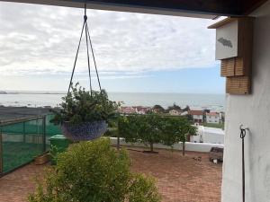 Foot-loose & Fancy Free