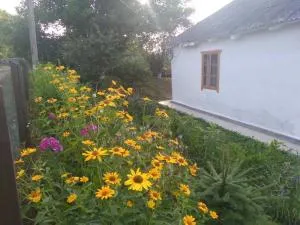 Соколине Гніздо - Borodany