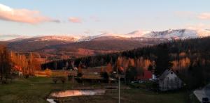 Mariano Michałowice