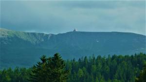 Mariano Michałowice