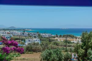 Studios Tasia Naxos Greece