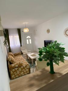 Kotor Apartman Green Sailor