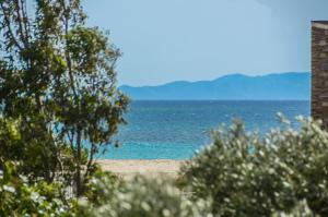 Golden Beach Studios Naxos Greece