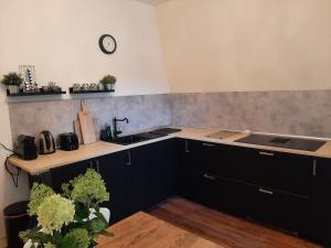 B&B / Chambres d'hotes Chateau Sourliavoux, appartement en chambres d'hotes : photos des chambres