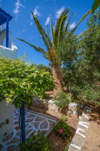 Golden Beach Studios Naxos Greece