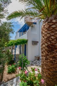 Golden Beach Studios Naxos Greece