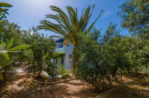 Golden Beach Studios Naxos Greece