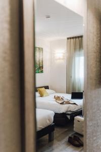 Hotels ibis Styles Contres-Cheverny : Suite Junior avec 1 Lit Double et Canapé - Occupation simple - Non remboursable