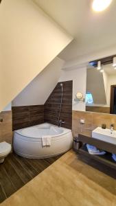 One-Bedroom Apartment room in Hotel IZVOARE Caciulata