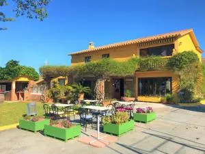 科尔蒂霍阿马亚酒店 - 卡尼利亚斯-德阿尔拜达