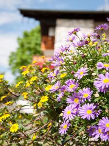 Gäste- und Appartementhaus Stachl