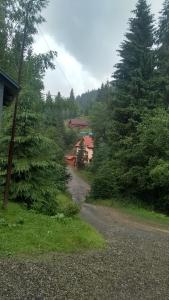 Садиба Срібні Карпати