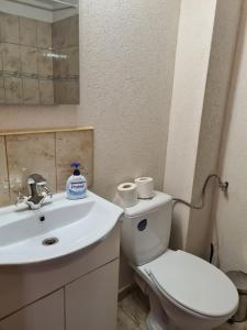 Lucas studio 3 ,Close to Therme Bucharest, Airport Otopeni