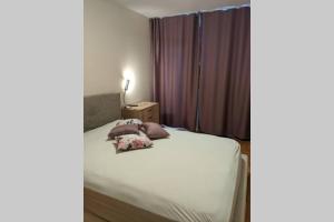 Exquisite Varna Views